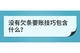 滴道专业讨债公司有哪些核心服务？